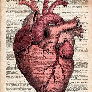 The Viking Heart Within